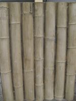 Wandpaneelen Muster Bambus