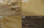 Sandstein,flexibler Sandstein,Sandsteinfunier,Wandverkleidung,Treppe,Stufe,Badverkleidung,Sandsteinsäule,Kaminverkleidung,Sediment,Sandsteinsediment,